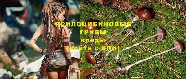 героин Няндома